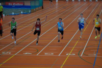 Halle SG