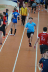 Halle SG