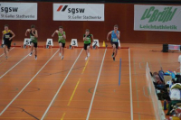 Halle SG