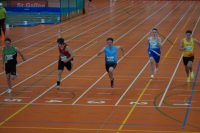 Halle SG