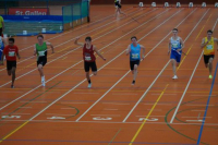 Halle SG