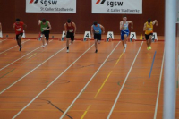 Halle SG