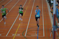 Halle SG