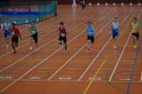 Halle SG