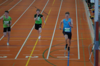 Halle SG