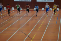 Halle SG