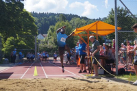 Jugitag