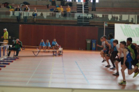 NW Halle SG