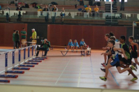 NW Halle SG