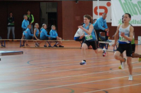 NW Halle SG