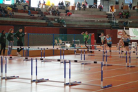 NW Halle SG