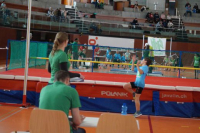 NW Halle SG