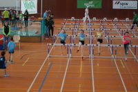 NW Halle SG