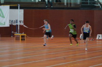 NW Halle SG
