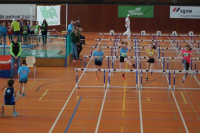 NW Halle SG