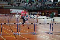 NW Halle SG