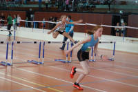 NW Halle SG