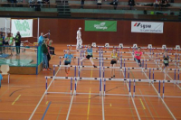 NW Halle SG