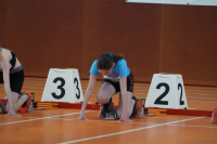 NW Halle SG
