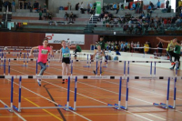 NW Halle SG