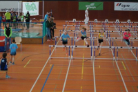 NW Halle SG