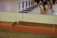 NW Halle SG