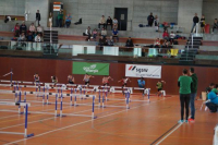 NW Halle SG