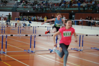 NW Halle SG