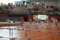 NW Halle SG