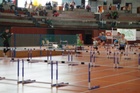 NW Halle SG