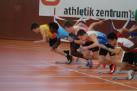 NW Halle SG