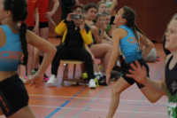 NW Halle SG
