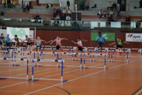 NW Halle SG