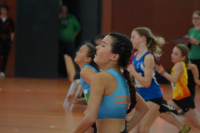 NW Halle SG