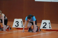 NW Halle SG