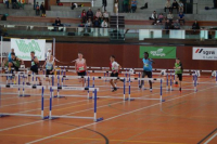 NW Halle SG