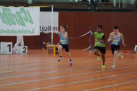 NW Halle SG