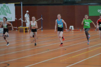 NW Halle SG