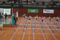 NW Halle SG