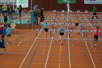 NW Halle SG