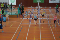 NW Halle SG