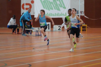 NW Halle SG