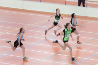 NW Halle SG