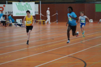 NW Halle SG