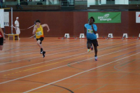 NW Halle SG