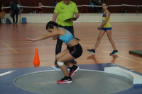 NW Halle SG