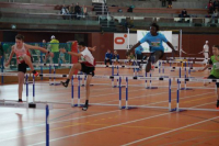 NW Halle SG