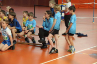 NW Halle SG
