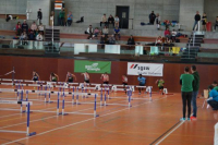 NW Halle SG