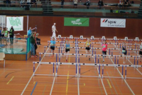 NW Halle SG